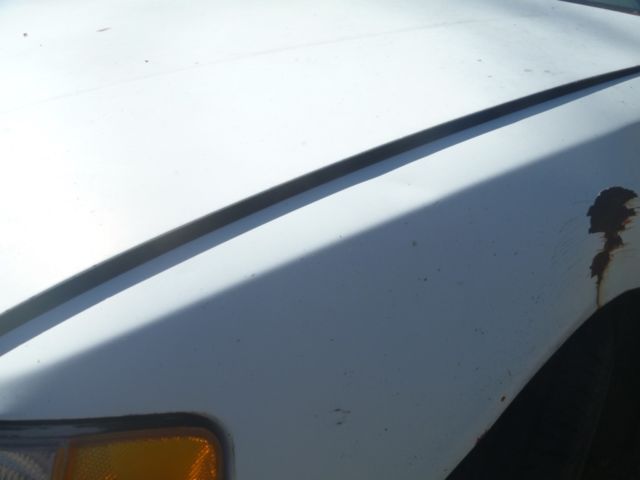 1991 Honda CRX HF - photo 7