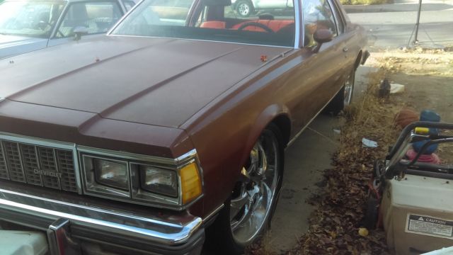 1979 Chevrolet Caprice - photo 3