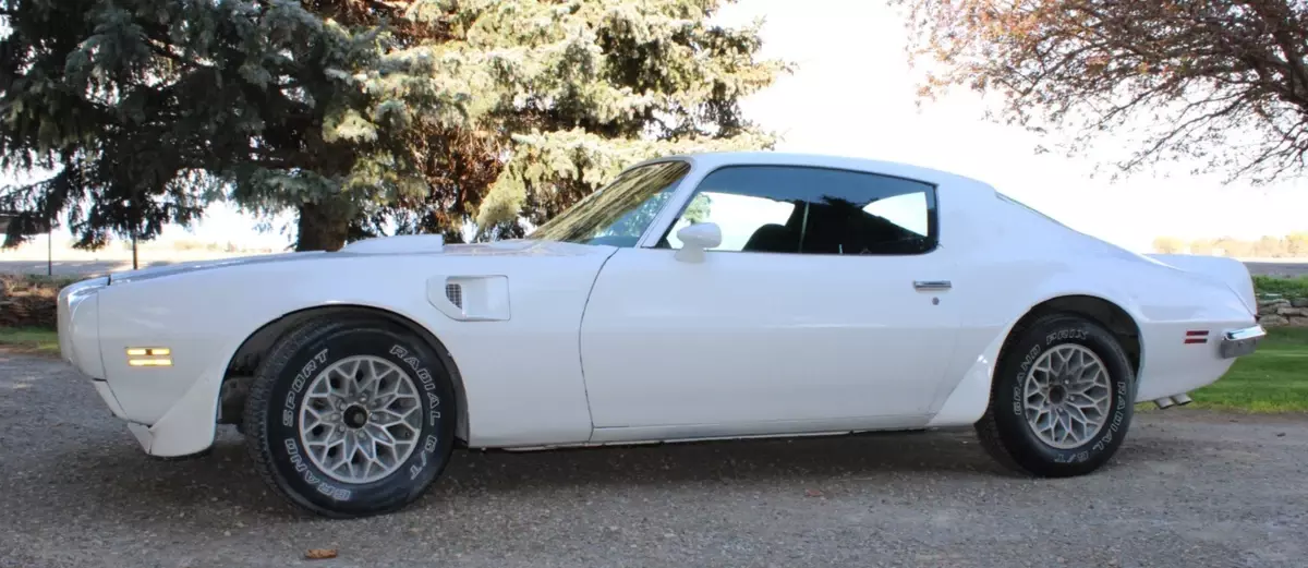 Rare 2nd Gen 1973 Pontiac Firebird Trans Am 455 CID Coupe 2-door 1973 Pontiac Trans Am