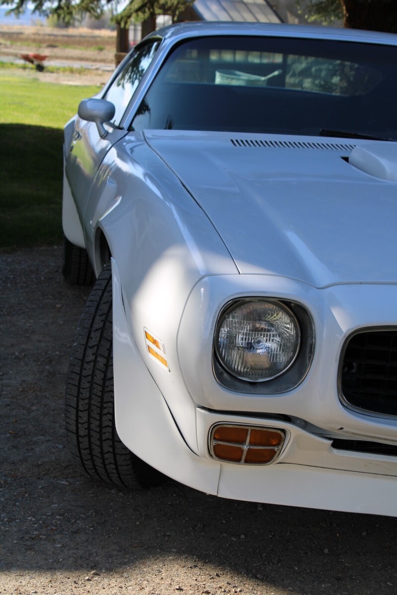 1973 Pontiac Trans Am - photo 10