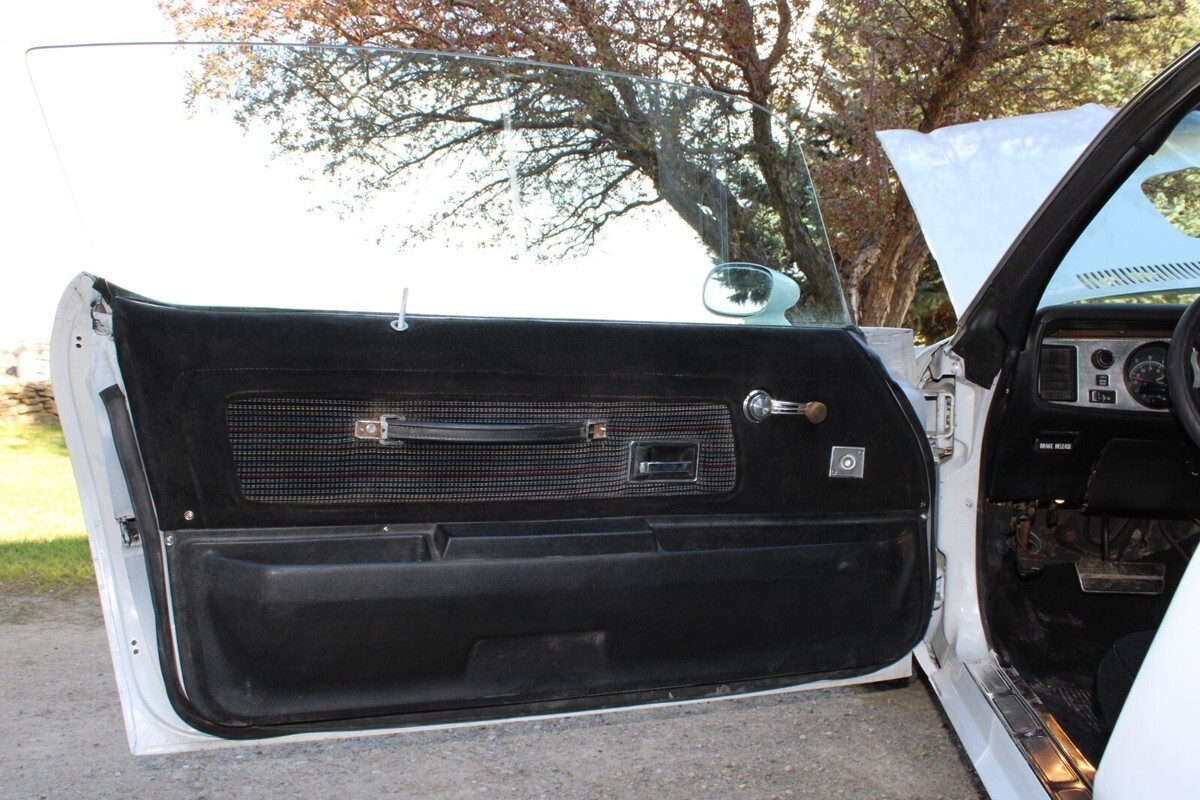 1973 Pontiac Trans Am - photo 11
