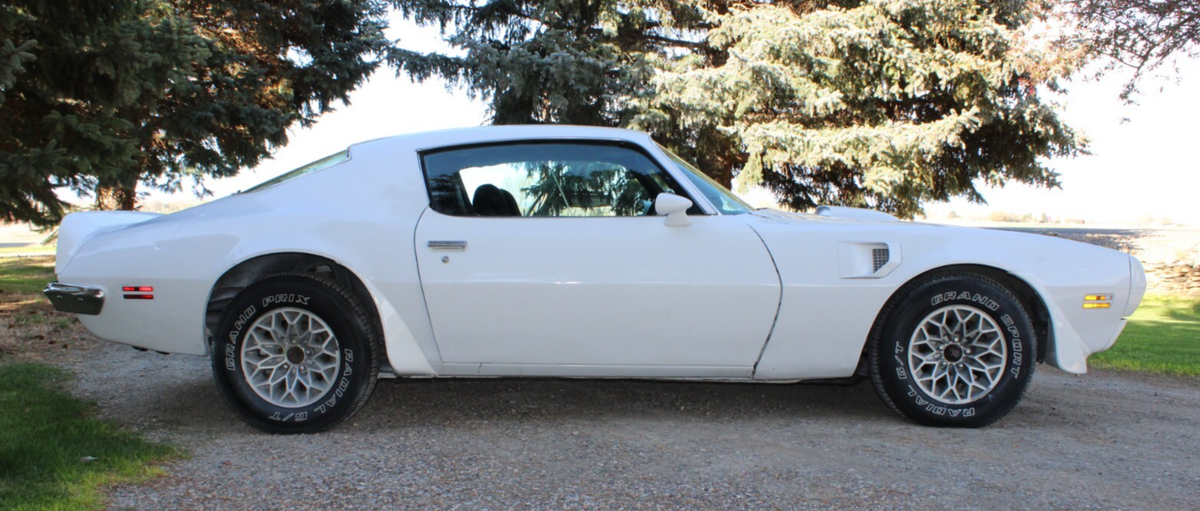 1973 Pontiac Trans Am - photo 6