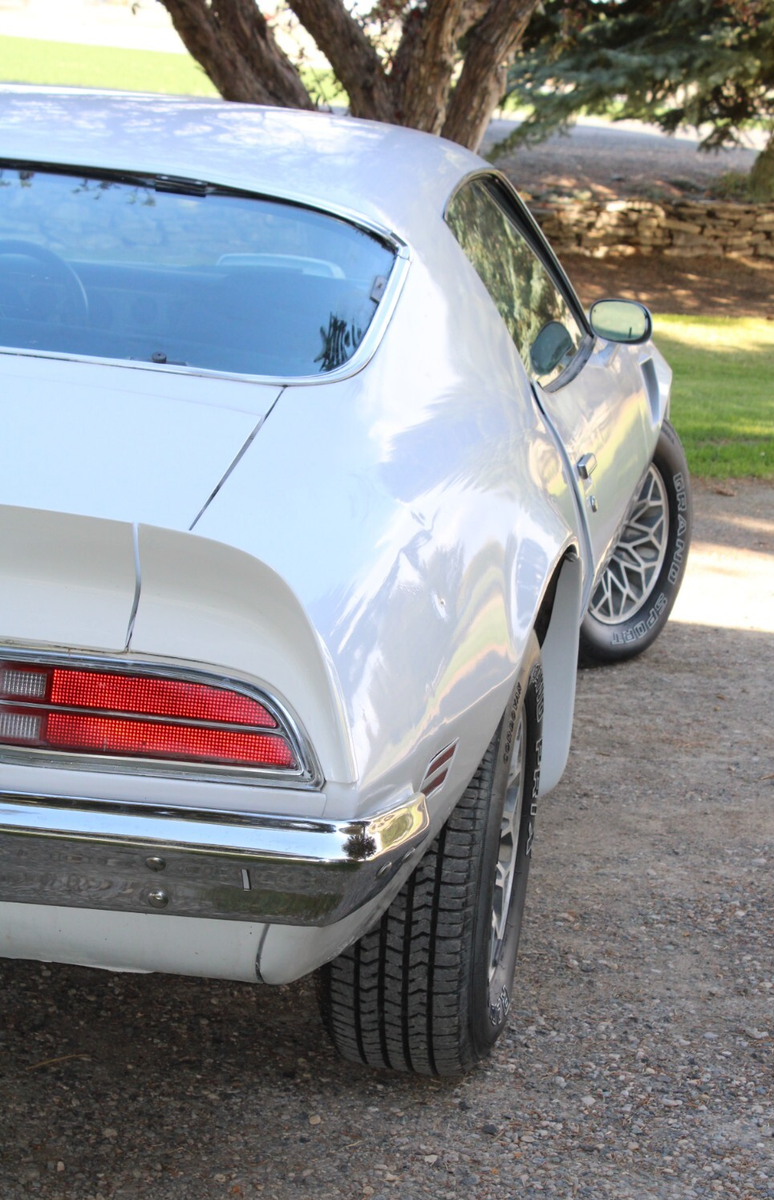 1973 Pontiac Trans Am - photo 7