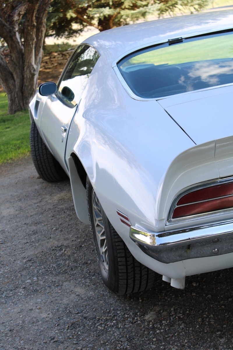 1973 Pontiac Trans Am - photo 9