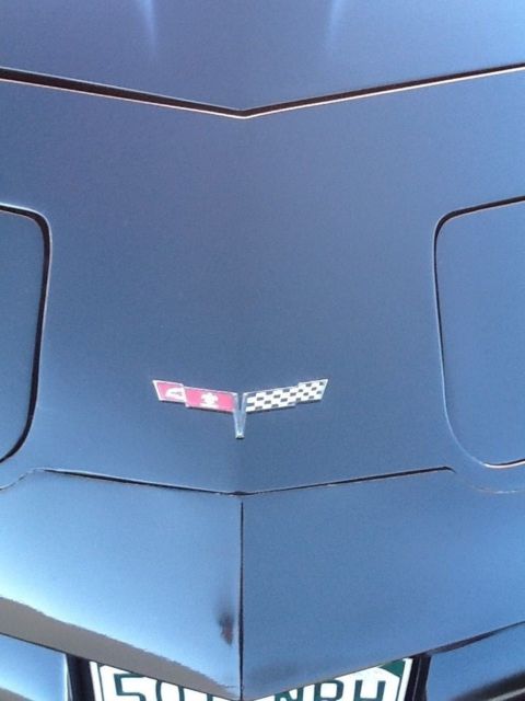 1981 Chevrolet Corvette - photo 7