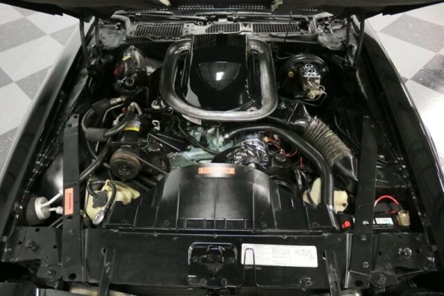 1976 Pontiac Firebird Trans Am LE 50th Anniversary - photo 4
