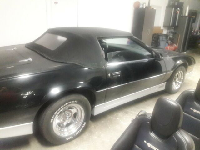 RARE 85 CAMARO CONVERTIBLE 2 SEATER 1985 Chevrolet Camaro
