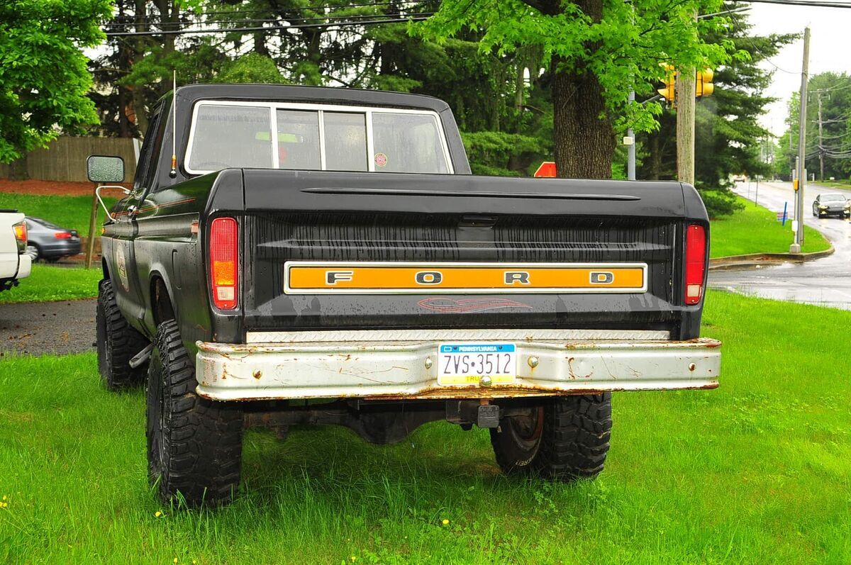 1978 Ford F-150 - photo 3