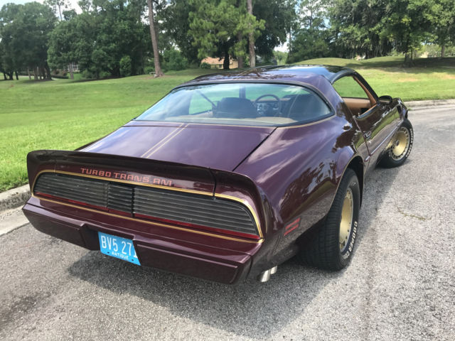 1980 Pontiac Trans Am Turbo Trans Am WS6 SE - photo 10