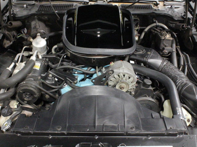 1980 Pontiac Trans Am - photo 4
