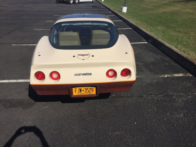 1981 Chevrolet Corvette - photo 10