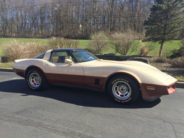 1981 Chevrolet Corvette - photo 2