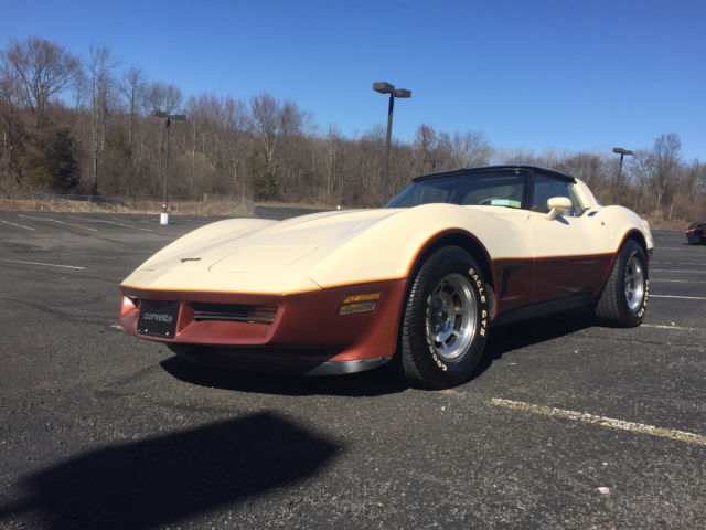 1981 Chevrolet Corvette - photo 5