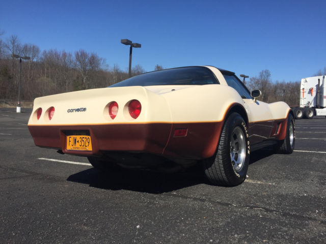 1981 Chevrolet Corvette - photo 8