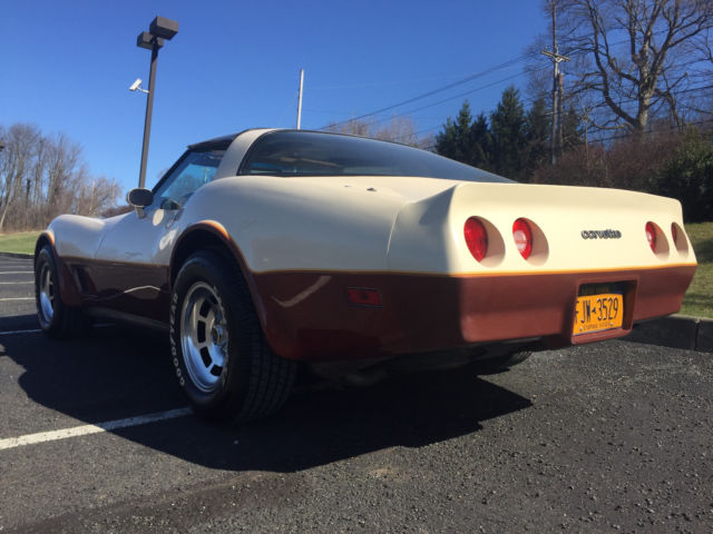 1981 Chevrolet Corvette - photo 9
