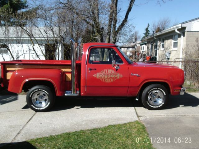 1979 Dodge Other Pickups D150 ADVENTURER - photo 12
