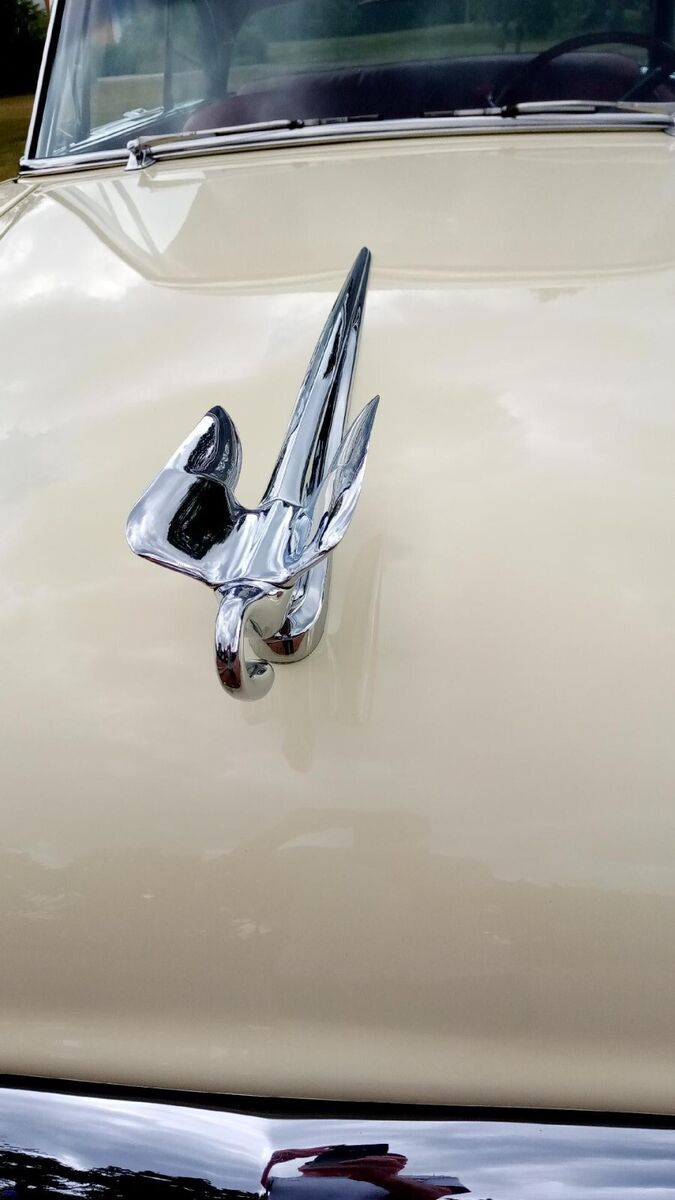 1954 Packard Pacific - photo 5