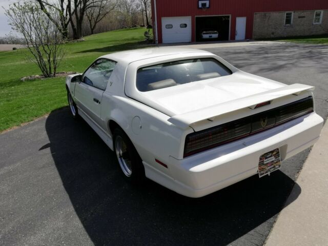 1988 Pontiac Trans Am Trans Am GTA - photo 10