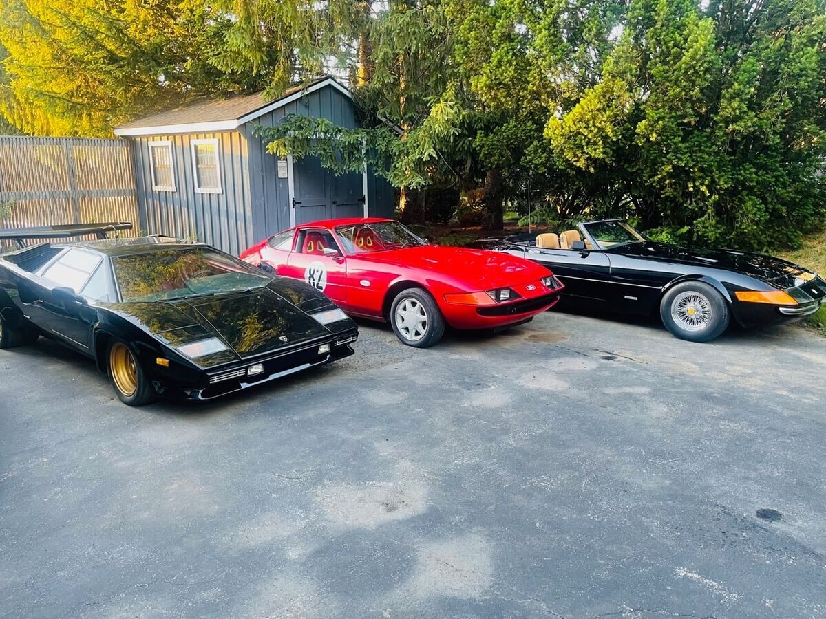 1971 Replica/Kit Makes Daytona - photo 5