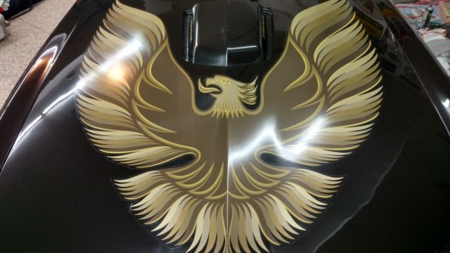 1977 Pontiac Trans Am - photo 10