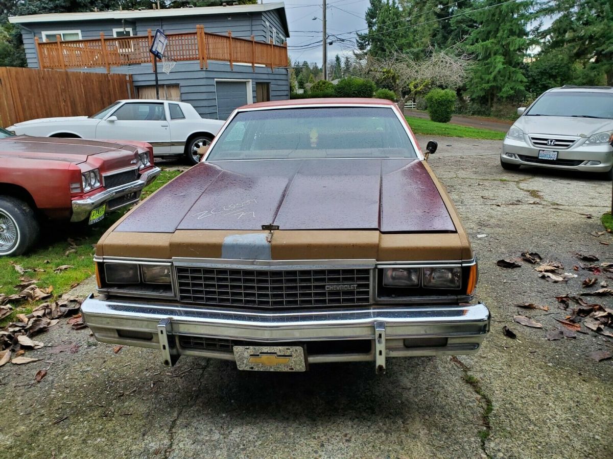 1978 Chevrolet Caprice Landau - photo 3