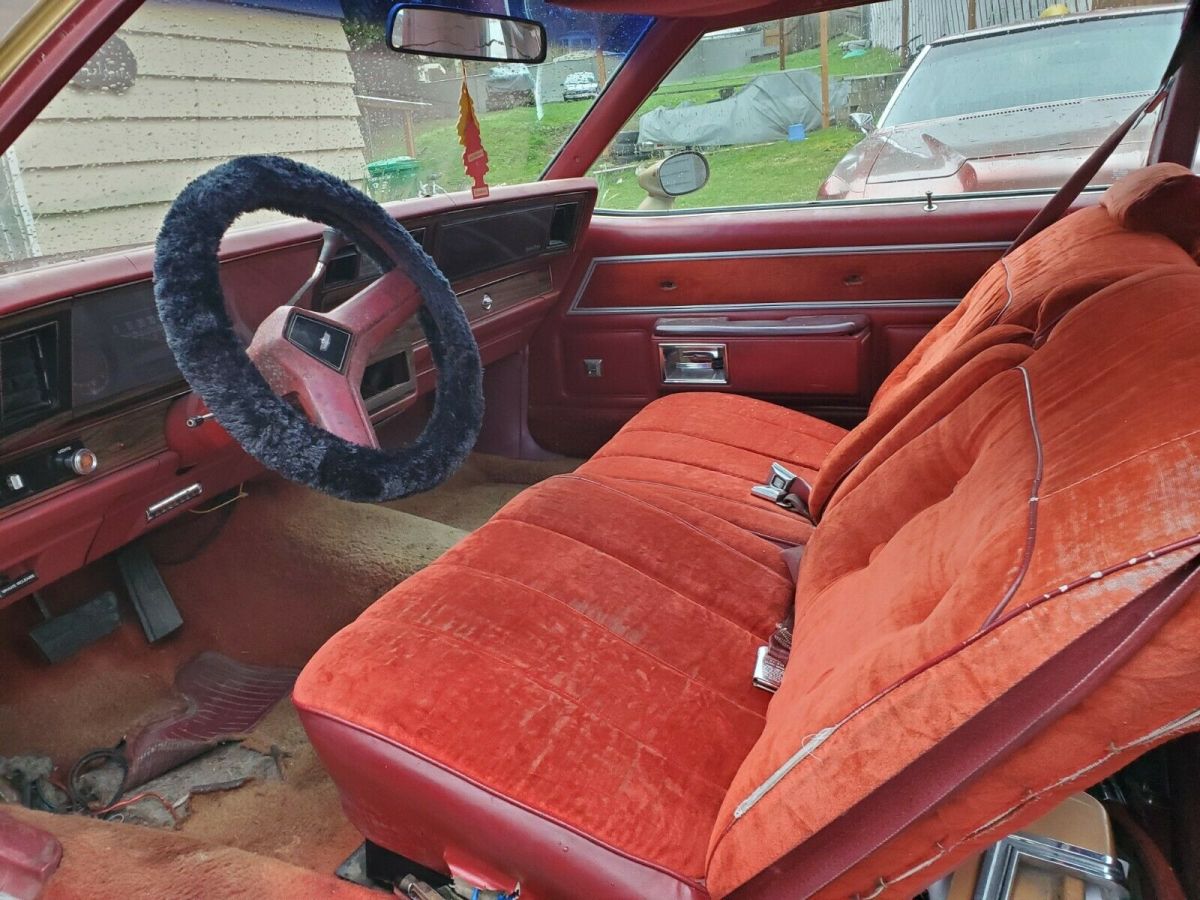 1978 Chevrolet Caprice Landau - photo 4