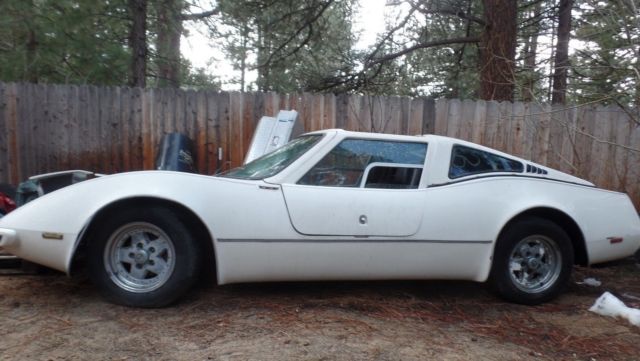 Rare Gullwing Bradley GT 2, Garage Find, 1 of 500 Just Produced, NO RESERVE ! 1974 Other Makes Rare Bradley GT-II Gullwing Doors GT2, NO RESERVE !!