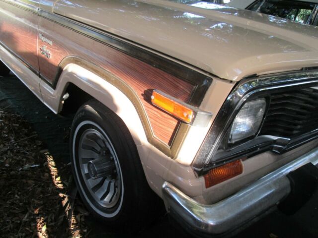 1981 Jeep Limited WAGONEER - photo 6