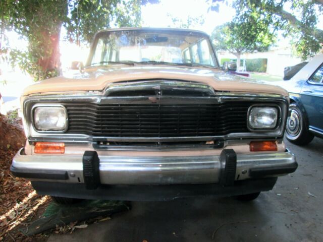 1981 Jeep Limited WAGONEER - photo 7