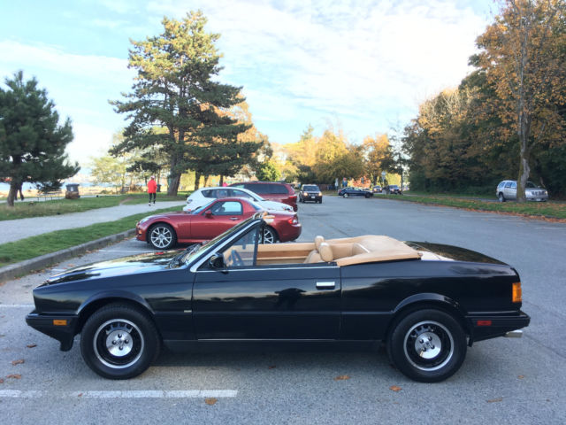 1986 Maserati Spyder Zagato - photo 7