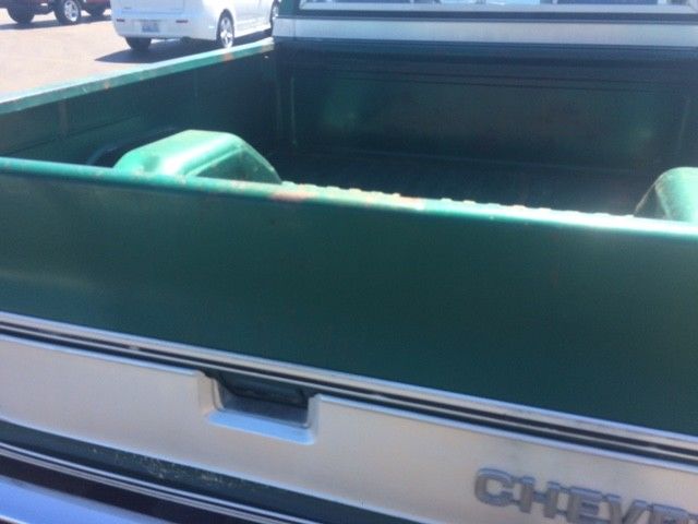 1979 Chevrolet C-10 Silverado - photo 10
