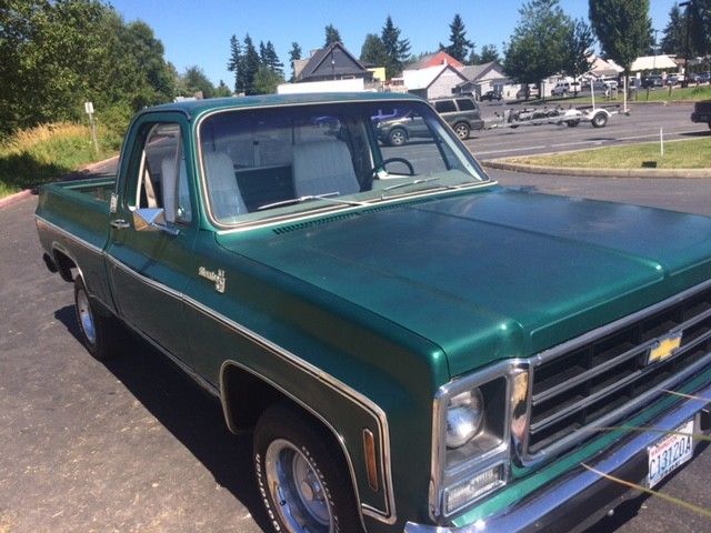 1979 Chevrolet C-10 Silverado - photo 2