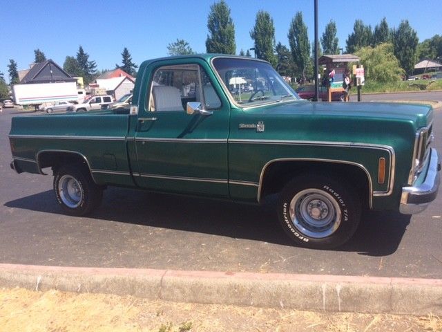 1979 Chevrolet C-10 Silverado - photo 3