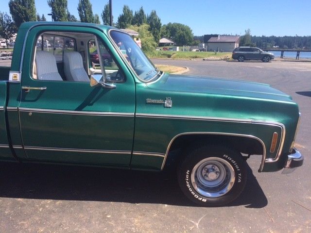 1979 Chevrolet C-10 Silverado - photo 4