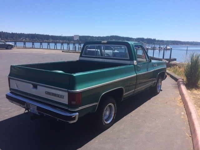 1979 Chevrolet C-10 Silverado - photo 5