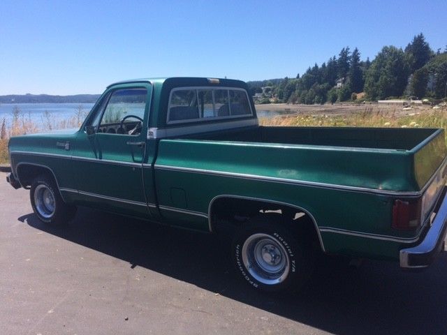 1979 Chevrolet C-10 Silverado - photo 6