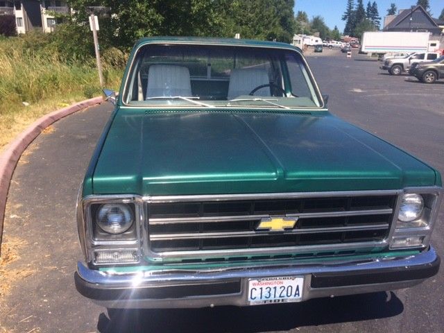 1979 Chevrolet C-10 Silverado - photo 7