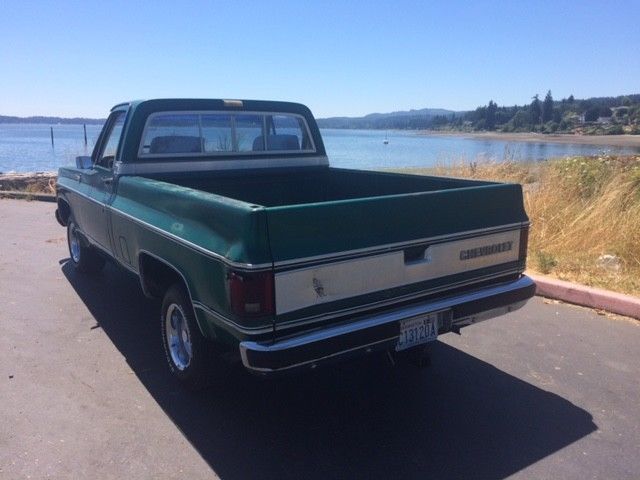 1979 Chevrolet C-10 Silverado - photo 8