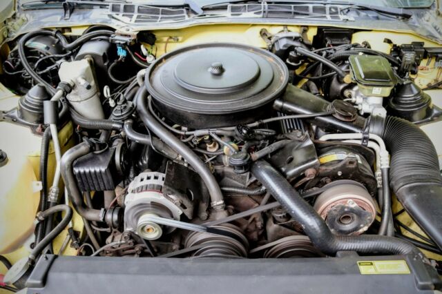 1987 Pontiac Firebird Formula - photo 11