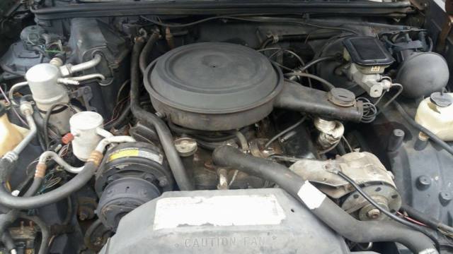 1984 Oldsmobile Cutlass Special Edition - photo 10