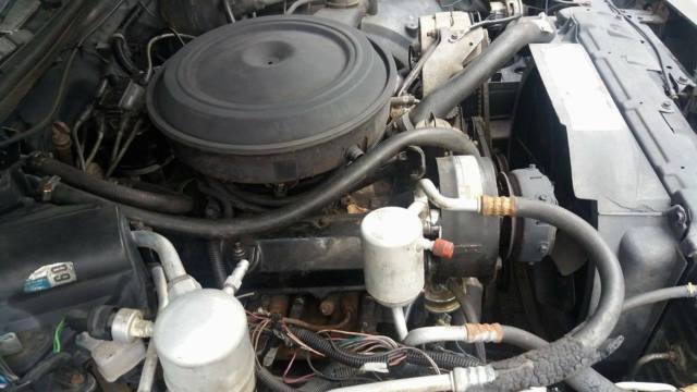1984 Oldsmobile Cutlass Special Edition - photo 11