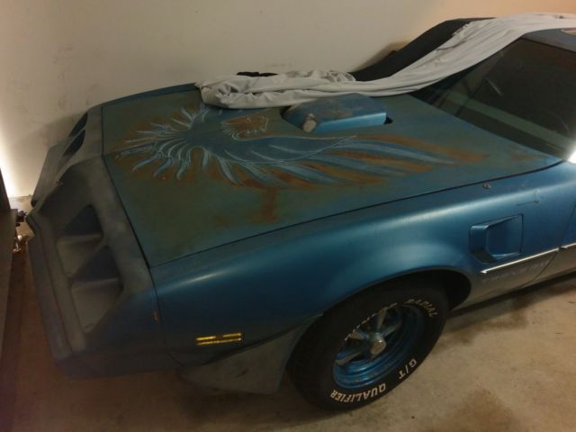 1979 Pontiac Firebird Trans Am - photo 4