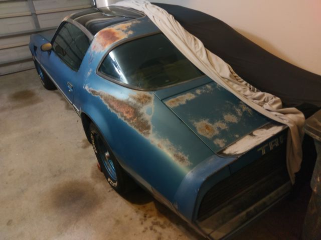 1979 Pontiac Firebird Trans Am - photo 5