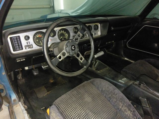 1979 Pontiac Firebird Trans Am - photo 7
