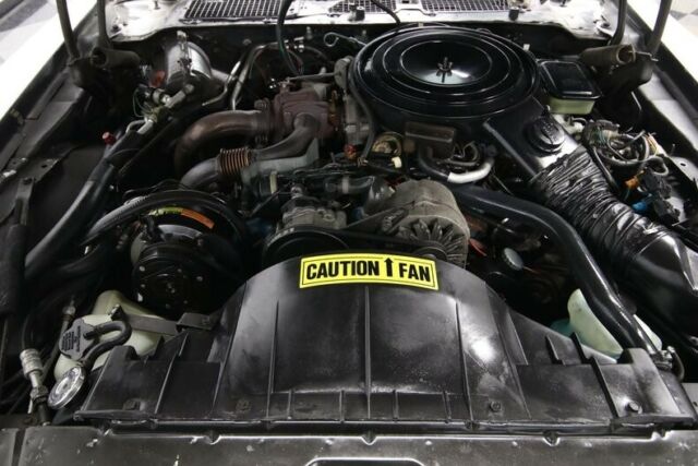 1981 Pontiac Firebird Trans Am Turbo - photo 4