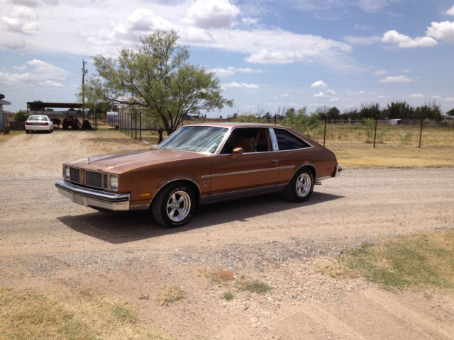 1979 Oldsmobile Cutlass - photo 6
