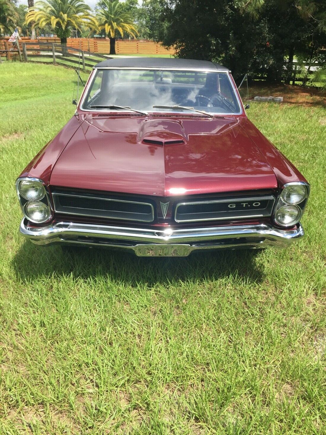 1965 Pontiac GTO Hard Top Coupe - photo 6