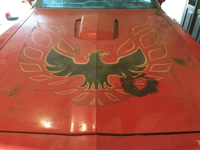 1977 Pontiac Firebird - photo 5