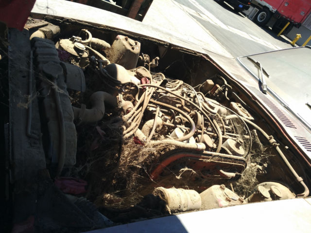1976 Datsun Z-Series - photo 3