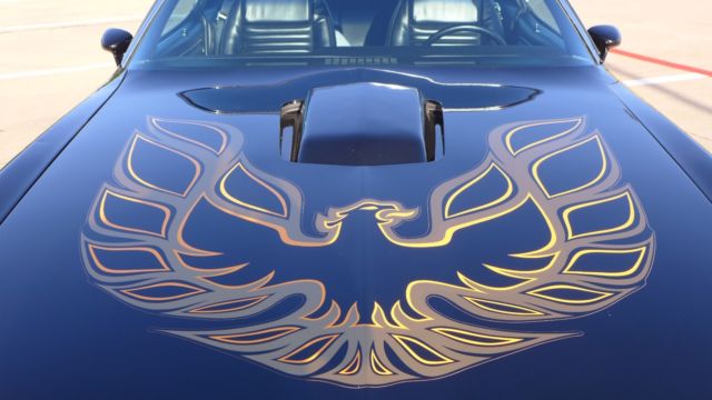 1978 Pontiac Trans Am WS6 - photo 10